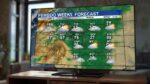 Weekly Weather Outlook for Colorado: February 9 through February 15, Denver Limousines
