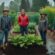 Colorado Gardeners and Researchers Embrace Wet Weather Amid Ongoing Drought Concerns, Denver Limousines
