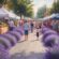 Lavender Festival, Tennyson Street Fair, and More Fun Activities in July, Denver Limousines